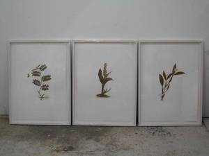 Anonymous Series 1-3