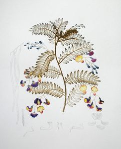Indian botanical study