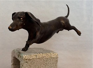 Sir Harry Dachshund