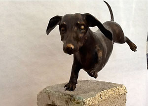 Sir Harry Dachshund