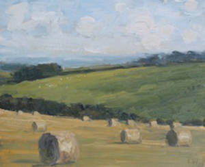 Hay bails near Dorchester