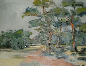 Old scots pine