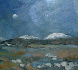 Sheep in the moonlight