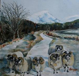 Baa Baa Black Sheep