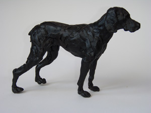Weimaraner Dog
