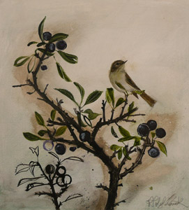 Goldfinch and sloes